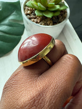 Load image into Gallery viewer, Oversized Dyed Bone &amp; Brass Adjustable Rings
